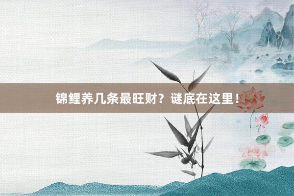 锦鲤养几条最旺财？谜底在这里！